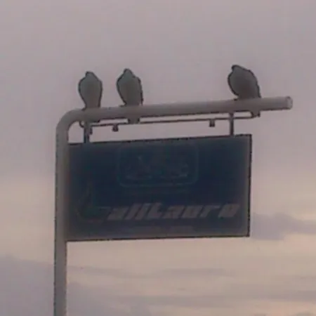 La Dimora Dei Baroni לינה וארוחת בוקר 3*